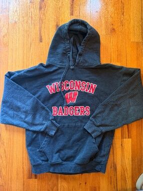 Wisconsin Badgers Grey Women Size L Hoodie